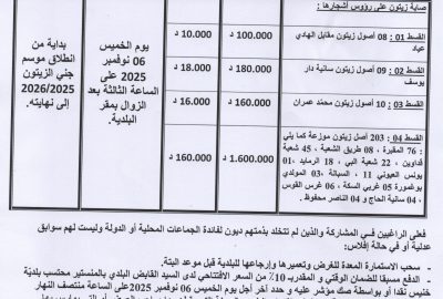 اعلان بتة عمومية للمرة الاولى لصابة الزيتون على رؤوس أشجارها